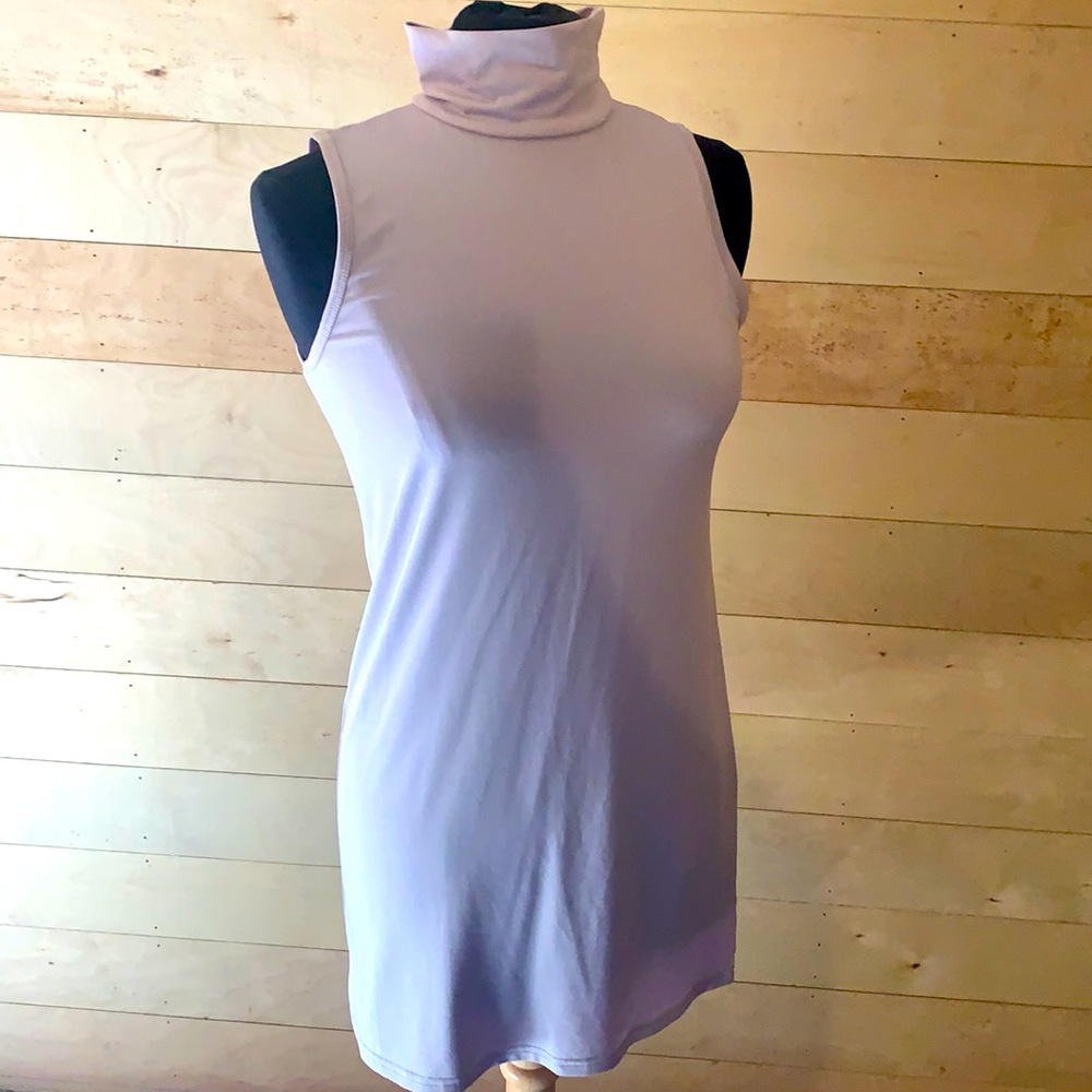 Taupe Size Large Fitted Turtleneck Dress